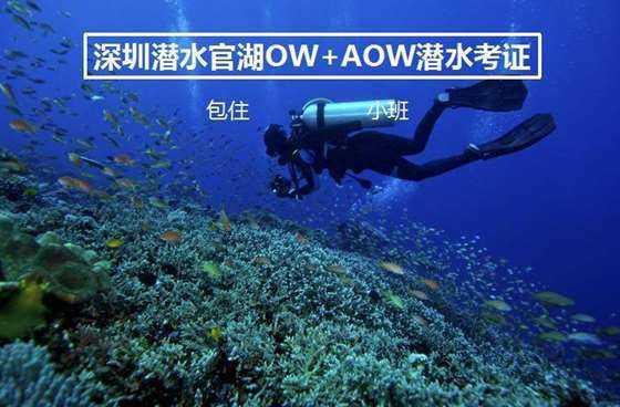 逃离舒适之屋